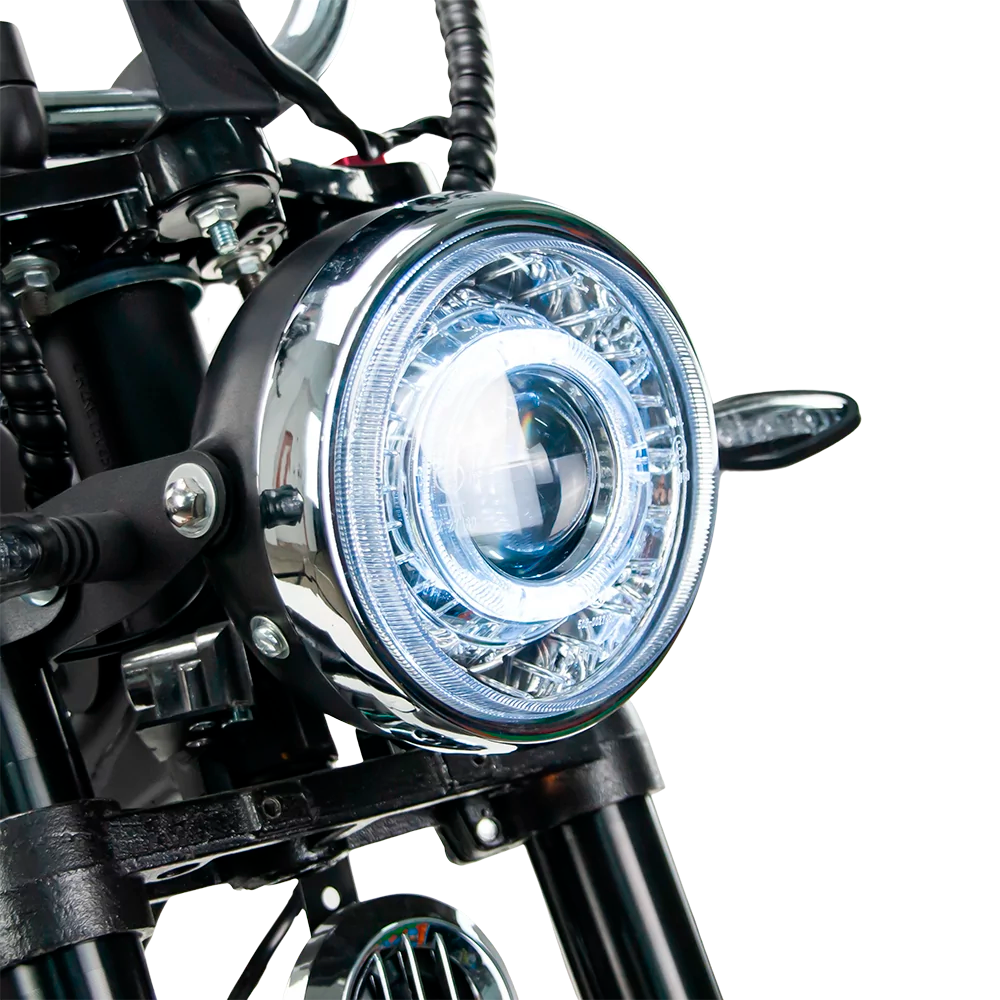 Dossier arrière passager Mangosteen E-Chopper – Compatible M1PS / M1P / M1P 2.0 / M1P Pro